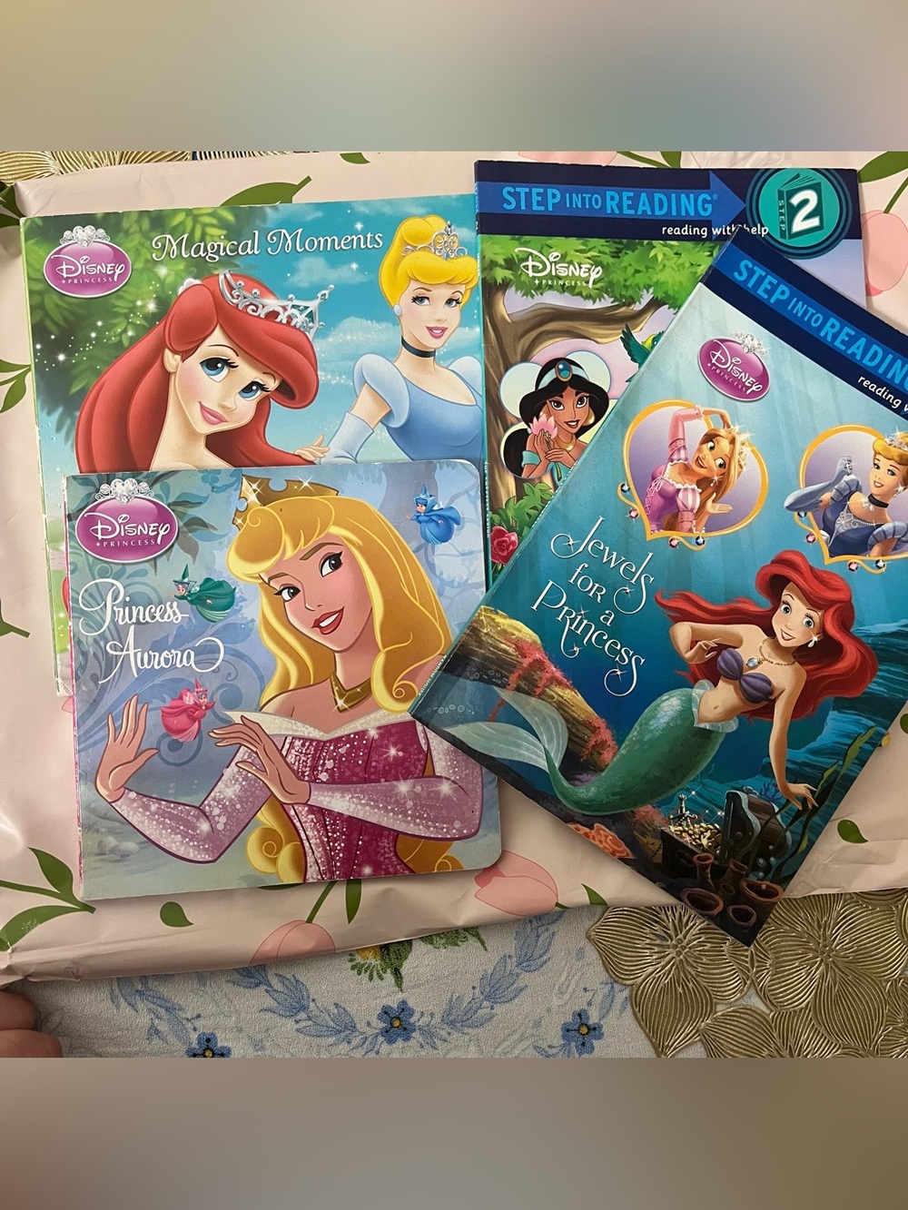Disney Princess Boards & level readers